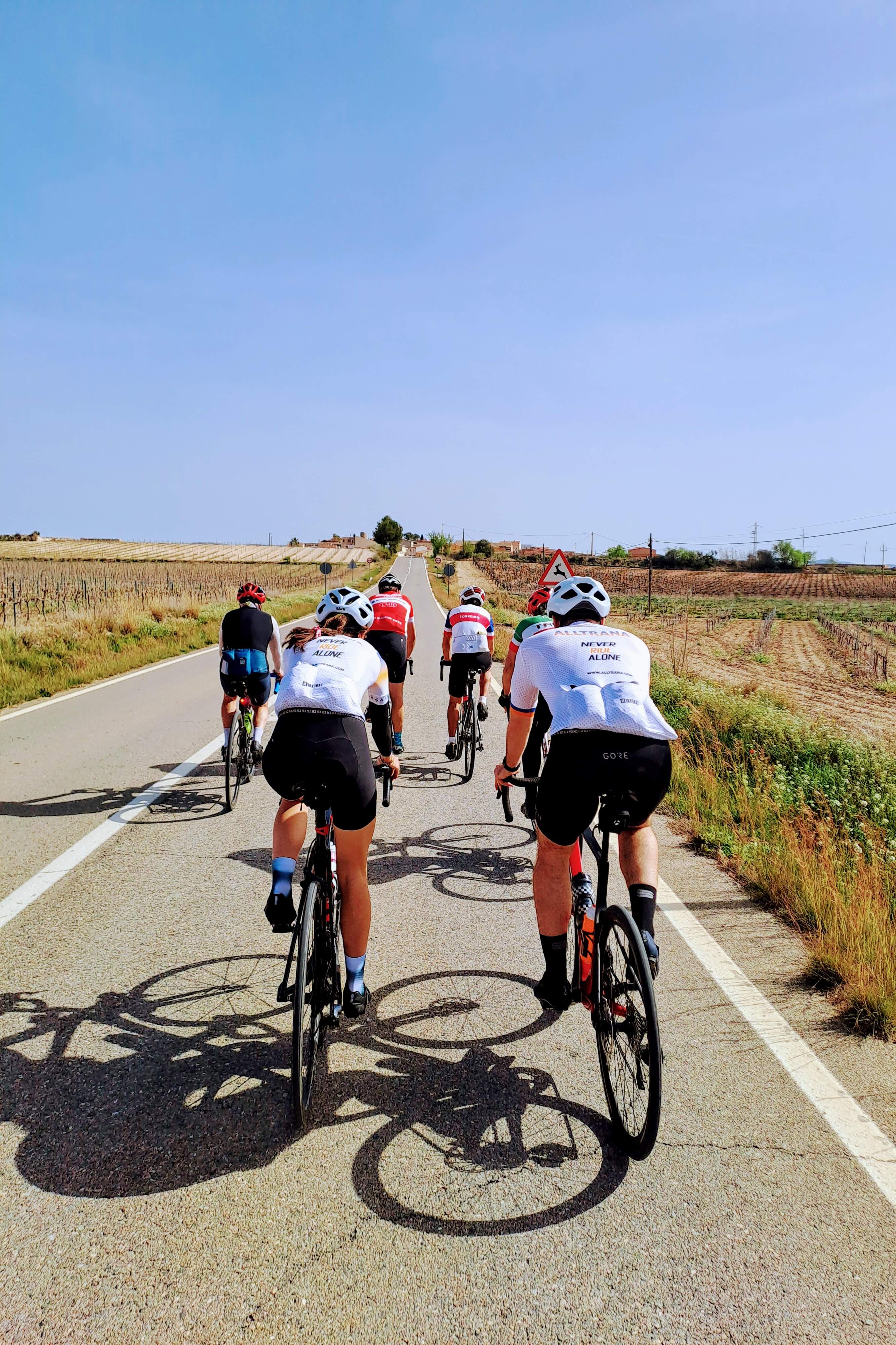 Equipo entrenando juntos